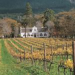 Wineries - Franschhoek Region